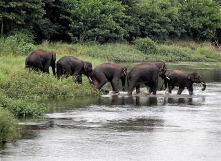 Perfect Safari lodge - 3