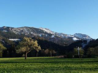 Ferienwohnungen Wanderparadies - 5