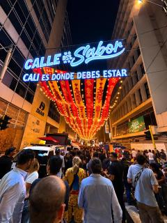 Loft Cozy Cali Cerca de Chipichape y Terminal - 3
