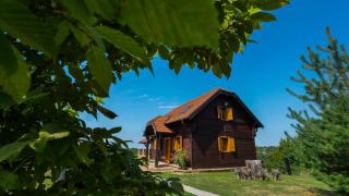 Holiday house Dubranec - 5