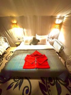 Maria luxury camp - 2