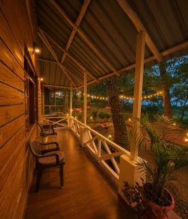 Pine Wood Cottage Jungle Resort - 3