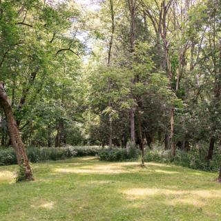 Homegrown Hideaway - 2