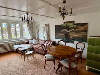 Historic apartment close to lake, private garden - 9