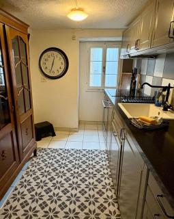 Historic apartment close to lake, private garden - 6