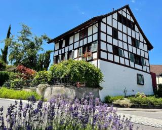 Historic apartment close to lake, private garden - 5