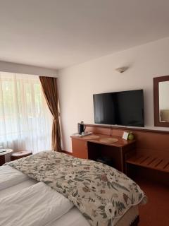 Hotel-Restaurant Siesta Balea - 7