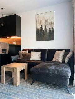 Nice Apartament Vilnius - 6