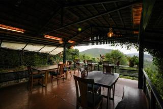 The Tamarillo - 4