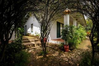 The Tamarillo - 6