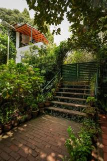 The Tamarillo - 5