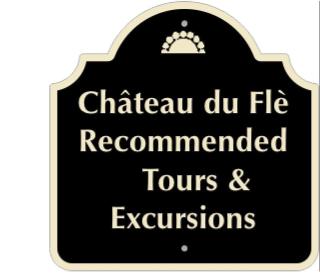 Château du Flè Villa - 6