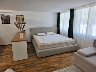 Ruhiges Studio bei Aarau mit Top Anbindung - 4