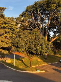 Loft Gray Sudoeste | Conforto e praticidade - 2