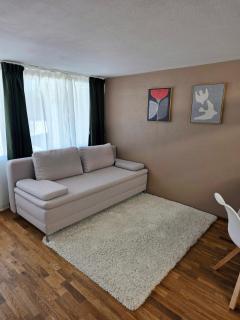 Ruhiges Studio bei Aarau mit Top Anbindung - 1