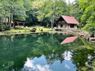 Bistrica Cottage - 0