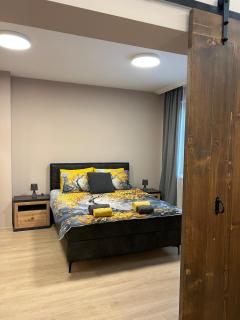 Aristocratic apartment in the center of Plovdiv - 7