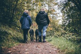Cartrefle - A Charming Welsh Escape perfect for families - 5