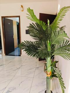 Mountain View Homestay In Itharna, Dehradun - 7