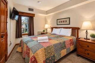 RF 219 Ski-InOut Hot Tub & Garage Sleeps 4 - 7