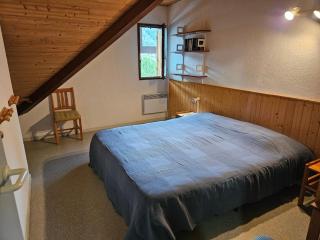 T4 Duplex Saint Lary Village - 5