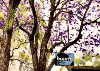 Baum Loft Santa Rita 103 - 3