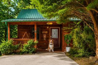 Smoky Mountain Cabin Hot Tub & Forest Views - 6