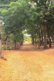 Aluga-se Rancho em Adolfo - 5
