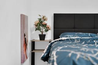 1BHK Close to Downtown Whyte Ave near UOFA 10947 - 3