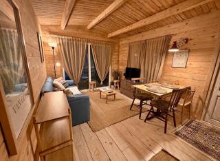 Charming Scandinavian eco house with private garden and jacuzzi between Amsterdam Haarlem and Schiphol Airport - 6