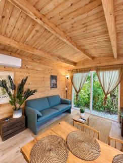 Charming Scandinavian eco house with private garden and jacuzzi between Amsterdam Haarlem and Schiphol Airport - 5