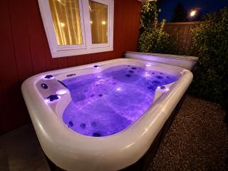 Charming Scandinavian eco house with private garden and jacuzzi between Amsterdam Haarlem and Schiphol Airport - 9