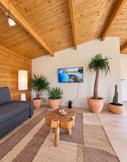 Cozy mediterranean style chalet with private jacuzzi and garden between Amsterdam Haarlem and Schiphol Airport - 9