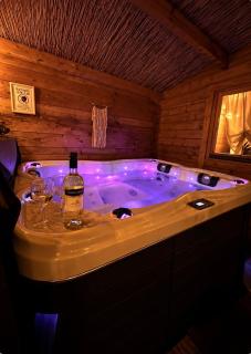 Cozy mediterranean style chalet with private jacuzzi and garden between Amsterdam Haarlem and Schiphol Airport - 4