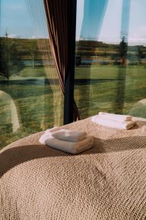 Nest Retreat Iceland - Mirror Houses by the Rangá river - 3