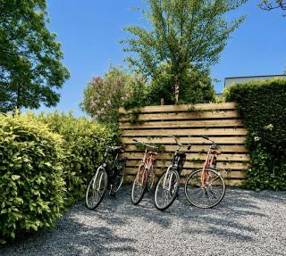 Cozy family chalet with spacious garden in the nature between Amsterdam Haarlem and Schiphol Airport - 1