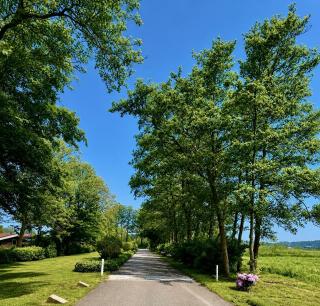 Cozy family chalet with spacious garden in the nature between Amsterdam Haarlem and Schiphol Airport - 2