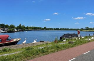 Cozy family chalet with spacious garden in the nature between Amsterdam Haarlem and Schiphol Airport - 4
