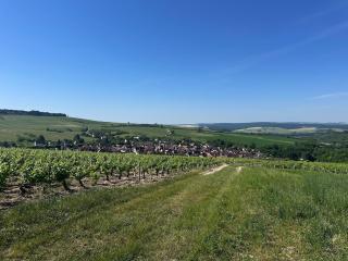 L'Écrin d'Irancy - 9