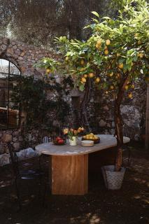 Merian's House - 9
