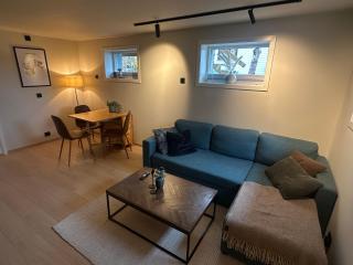 Charming Nordic Basement Apartment - 5