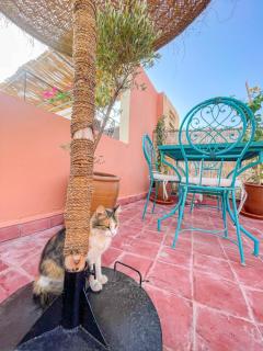 Bubbly Hostel Marrakech - 6