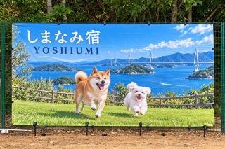 YOSHIUMi愛犬と泊まれる一棟貸し-バレルサウナ-BBQ-ドッグラン - 6