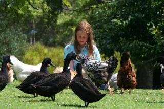 Pukenui Holiday Park - 2