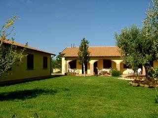 Il Girasole - Venturina Terme - 4