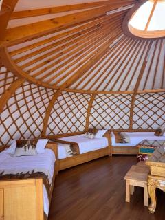 Khorgo mountain resort - 4