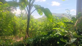 Hills of Ella - 1