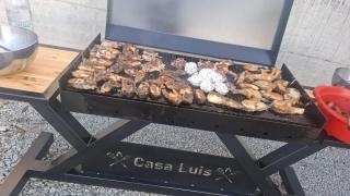 Casa Luis Coronini - 9