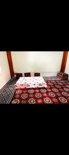 Aliya Tumar gest hous - 7