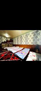 Aliya Tumar gest hous - 6